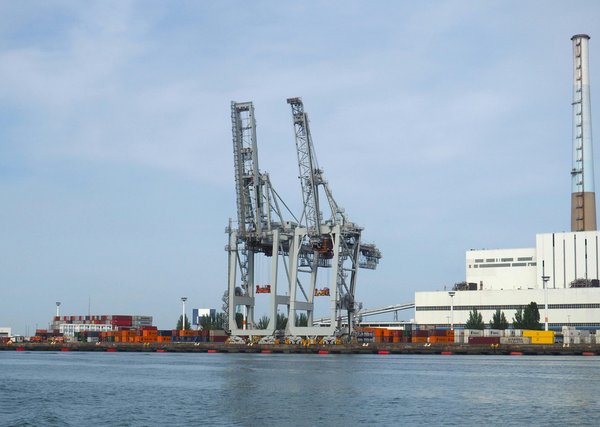 Visitez le bassin du commerce du havre : histoire et charme